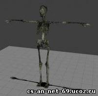 Skelet  Категория: Модели Зомби