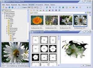 faststone image viewer 4.2 редактор и конвертор графических файлов